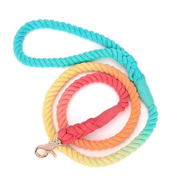 single piece dog leash multifunctional traction rope outdoor rainbow gradient shaped chain collar hand woven anti wear
single piece dog leash multifunctional traction rope outdoor rainbow gradient shaped chain collar hand woven anti wear