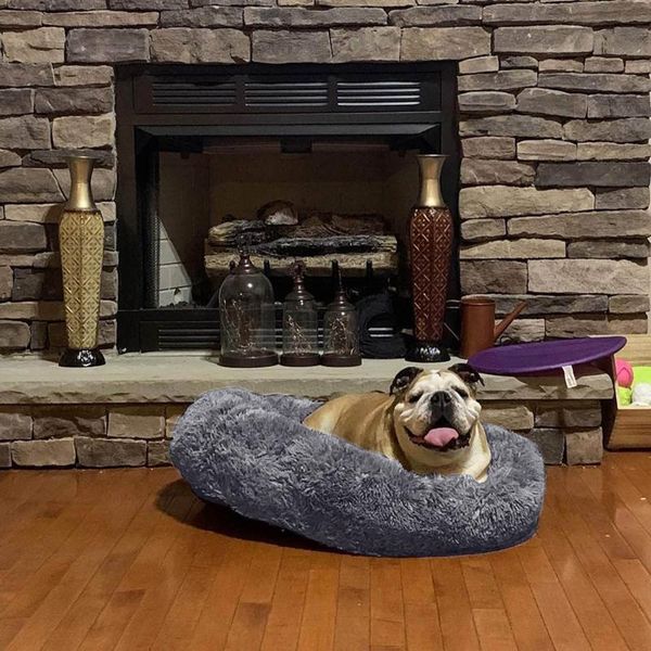 super soft pet bed kennel dog round cat winter warm sleeping bag long plush puppy cushion mat portable cat supplies
super soft pet bed kennel dog round cat winter warm sleeping bag long plush puppy cushion mat portable cat supplies