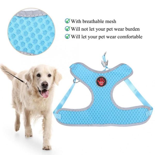 dog collars & leashes polyester breathable mesh vest-style pet chest strap harness pulling traction leash ropefor dogs puppy collar cat
dog collars & leashes polyester breathable mesh vest-style pet chest strap harness pulling traction leash ropefor dogs puppy collar cat