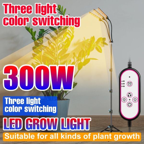 grow lights 12v led phyto lamp full spectrum plant light 300w 400w greenhouse fitolampy hydroponic bulb vegs cultivo tent box
grow lights 12v led phyto lamp full spectrum plant light 300w 400w greenhouse fitolampy hydroponic bulb vegs cultivo tent box