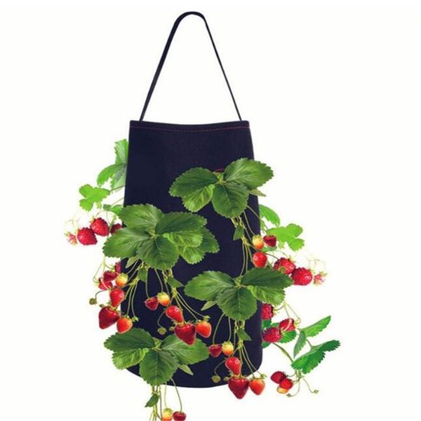 planters & pots flower seedlings sowing plant for strawberry tomato chili pepper growing home garden felt grow bag nursery hanging
planters & pots flower seedlings sowing plant for strawberry tomato chili pepper growing home garden felt grow bag nursery hanging