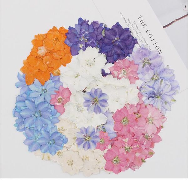 flower diy candle dried flowers mobile phone shell flores autumn fleur artificielle mothers day christmas artificia qylrye
flower diy candle dried flowers mobile phone shell flores autumn fleur artificielle mothers day christmas artificia qylrye