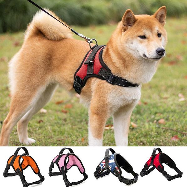 dog collars & leashes harness vest tailup pet product adjustable padded extra big large medium small dogs cat supplies walking lead leash
dog collars & leashes harness vest tailup pet product adjustable padded extra big large medium small dogs cat supplies walking lead leash