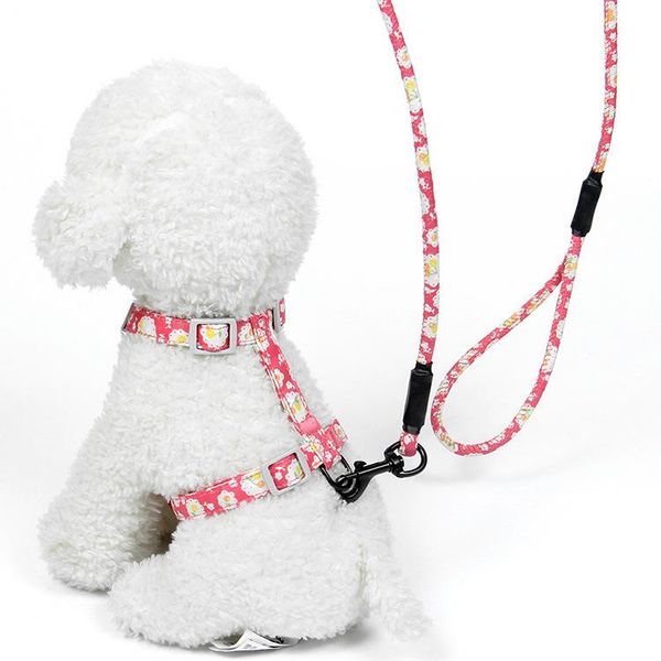 dog collars & leashes pet racer back traction rope chest harness adjustable cat supplies
dog collars & leashes pet racer back traction rope chest harness adjustable cat supplies