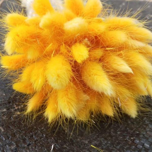 decorative flowers & wreaths 30pcs gift bouquet home decor florist lagurus ovatus natural wedding eco friendly dried flower party tai
decorative flowers & wreaths 30pcs gift bouquet home decor florist lagurus ovatus natural wedding eco friendly dried flower party tai