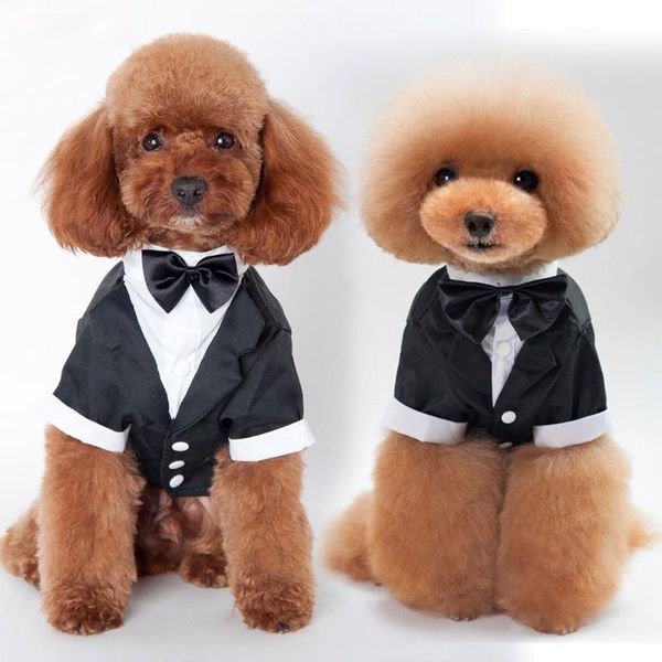 dog apparel pet cat clothing wedding suit tuxedo bow tie puppy clothes shirts s/m/l/xl/xxl
dog apparel pet cat clothing wedding suit tuxedo bow tie puppy clothes shirts s/m/l/xl/xxl