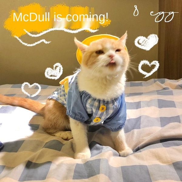 cat costumes spring, summer, ins cute dog clothes hat suit hubble-bubble sleeve princess dress paws long top
cat costumes spring, summer, ins cute dog clothes hat suit hubble-bubble sleeve princess dress paws long top