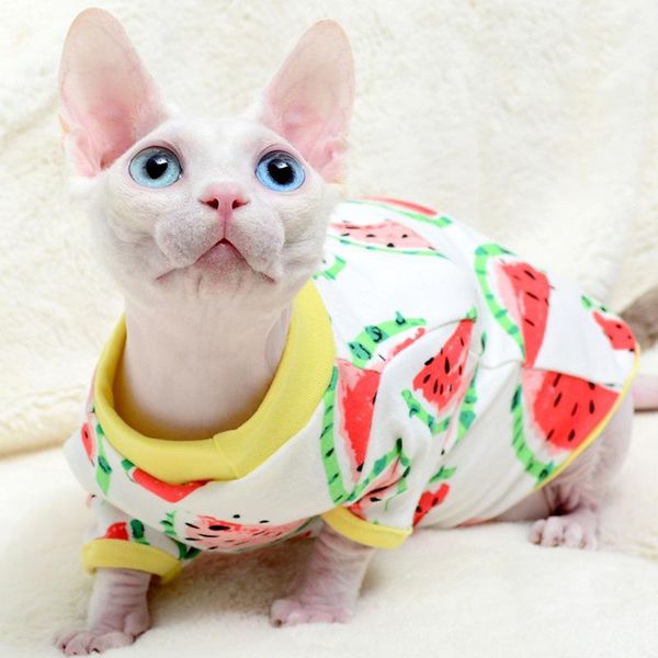 cat costumes classic sphynx puppy pet clothes for female cats summer vest cute print hairless
cat costumes classic sphynx puppy pet clothes for female cats summer vest cute print hairless