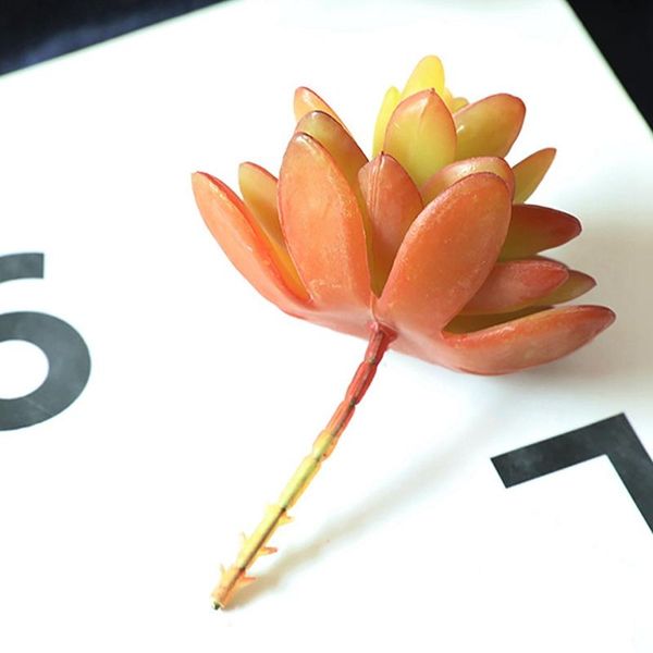 yha simulation succulent siamese gem artificial flower indoor plant simulation flower landscape artificial succulent
yha simulation succulent siamese gem artificial flower indoor plant simulation flower landscape artificial succulent