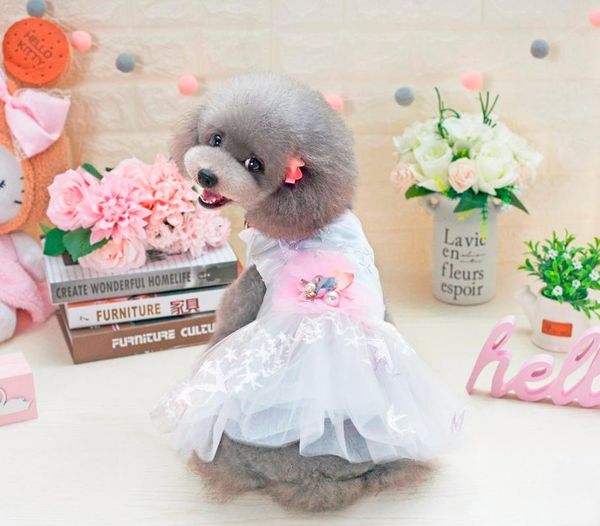 new cute starfish style pet dogs dress beautiful fashion new puppy dogs clothing dress for dog
new cute starfish style pet dogs dress beautiful fashion new puppy dogs clothing dress for dog
