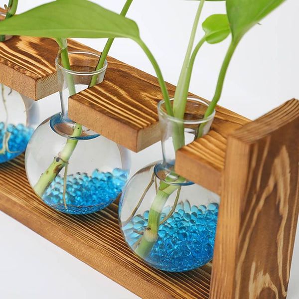 hydroponic vase borosilicate transparent glass bulb vase garden water planting propagation stations home decor gift
hydroponic vase borosilicate transparent glass bulb vase garden water planting propagation stations home decor gift