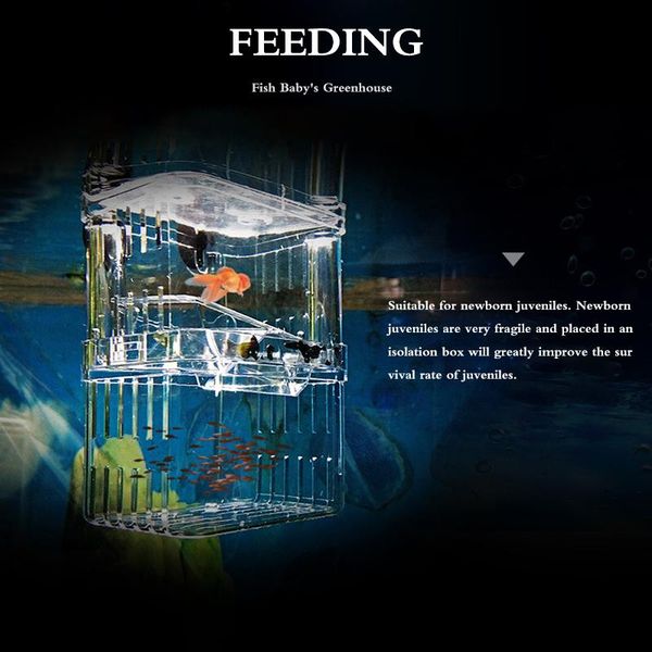 aquariums breeding isolation box fish aquarium breeder acrylic high clear double guppies for tank seedlings supplies
aquariums breeding isolation box fish aquarium breeder acrylic high clear double guppies for tank seedlings supplies