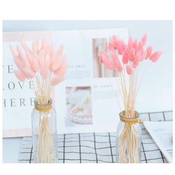 decorative flowers & wreaths 10/20/30pcs gradient lagurus ovatus natural dried bouquet wedding home easter decorations accessories ta
decorative flowers & wreaths 10/20/30pcs gradient lagurus ovatus natural dried bouquet wedding home easter decorations accessories ta
