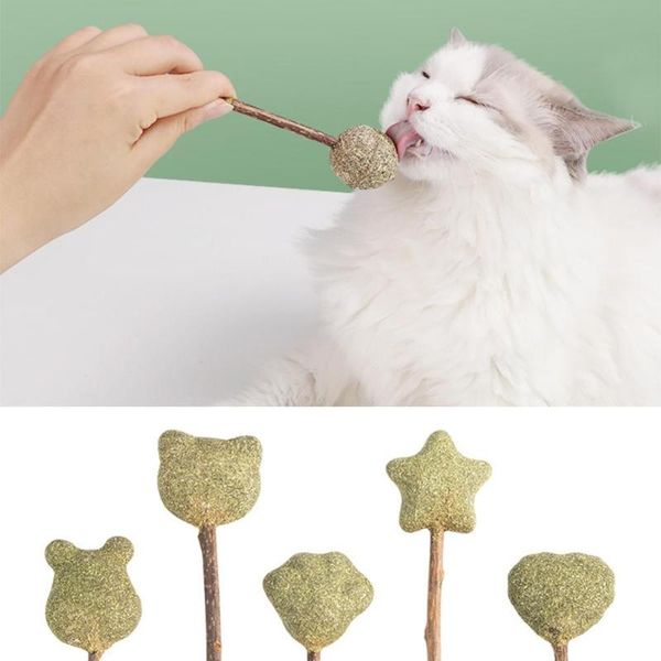 cat toys molar toy catnip lollipop natural cats mint ball kitten chewing teeth cleaning playing funny treats pets biting
cat toys molar toy catnip lollipop natural cats mint ball kitten chewing teeth cleaning playing funny treats pets biting