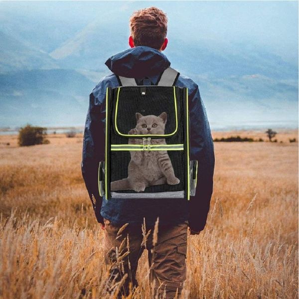 dog car seat covers the whole network breathable pet backpack go out portable cat small and medium bag
dog car seat covers the whole network breathable pet backpack go out portable cat small and medium bag