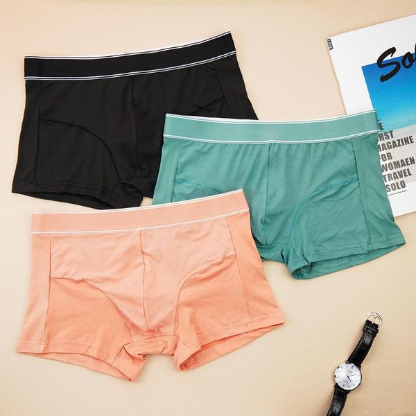 underpants mens stretch boxers underwear soft long boxershorts cotton male panties 3d pouch shorts pants boxer tangas, Black;white
underpants mens stretch boxers underwear soft long boxershorts cotton male panties 3d pouch shorts pants boxer tangas, Black;white