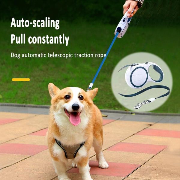 dog collars & leashes mamy pets automatic traction rope long strong pet leash for large dogs walking leads supplies
dog collars & leashes mamy pets automatic traction rope long strong pet leash for large dogs walking leads supplies