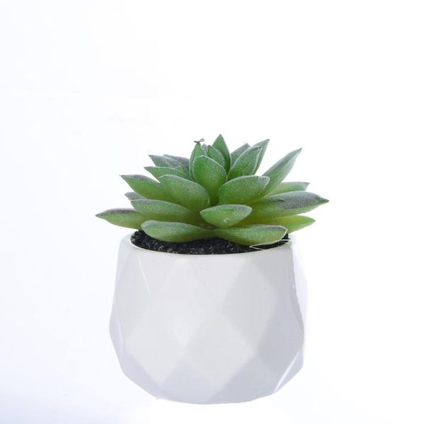 green simulation succulent mini artificial plant bonsai contains creative ornaments decorative ball plant simulation flower
green simulation succulent mini artificial plant bonsai contains creative ornaments decorative ball plant simulation flower