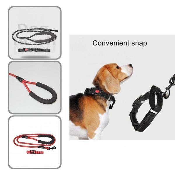 dog collars & leashes 2pcs/set sturdy walking rope collar kit leash strong effortless
dog collars & leashes 2pcs/set sturdy walking rope collar kit leash strong effortless