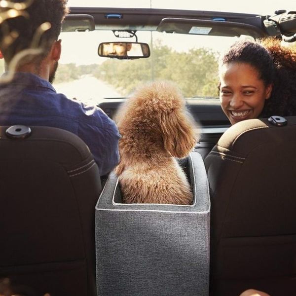 dog car seat covers 2021 central control nest mat portable kennel safety four seasons universal anti-dirty cat pet supplies
dog car seat covers 2021 central control nest mat portable kennel safety four seasons universal anti-dirty cat pet supplies