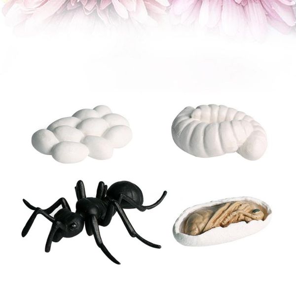 1 set insect growth ornaments display models educational animal decorations early learning supplies (ergate)
1 set insect growth ornaments display models educational animal decorations early learning supplies (ergate)