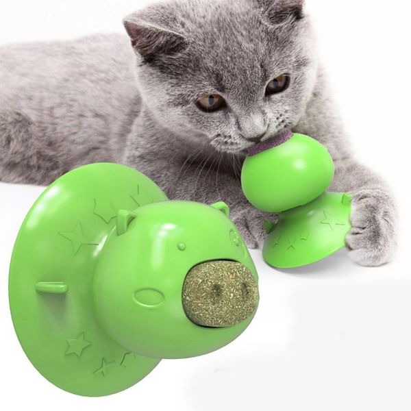 cat toys catnip toy interactive licking treats pig nose shape for cats teeth cleaning chewing playing toothbrush
cat toys catnip toy interactive licking treats pig nose shape for cats teeth cleaning chewing playing toothbrush