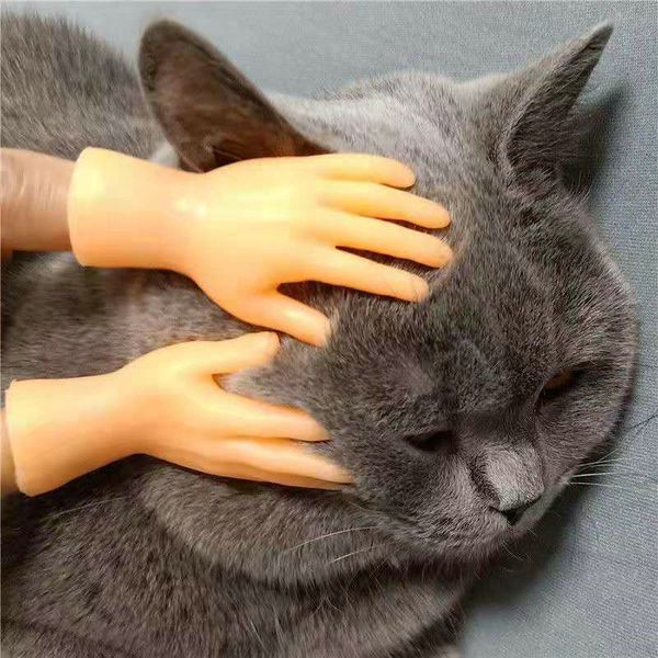 new vibrato with the same type of cat massage finger cots, small hands, tricky finger cots, simulation cute five-finger spreading toys
new vibrato with the same type of cat massage finger cots, small hands, tricky finger cots, simulation cute five-finger spreading toys