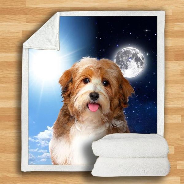 blankets havanese cozy premium fleece blanket 3d printed sherpa on bed home textiles 02
blankets havanese cozy premium fleece blanket 3d printed sherpa on bed home textiles 02
