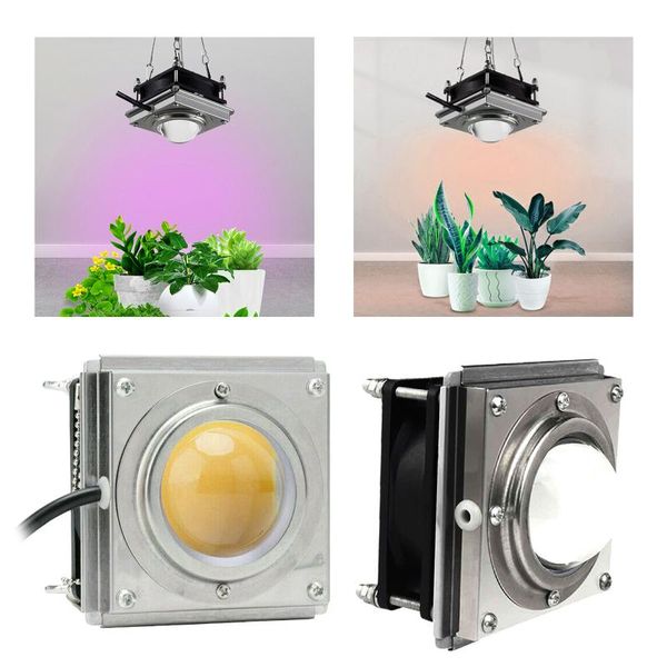 professional led grow light for indoor plants 60w plant lights seedling vegetable and flower grow light
professional led grow light for indoor plants 60w plant lights seedling vegetable and flower grow light