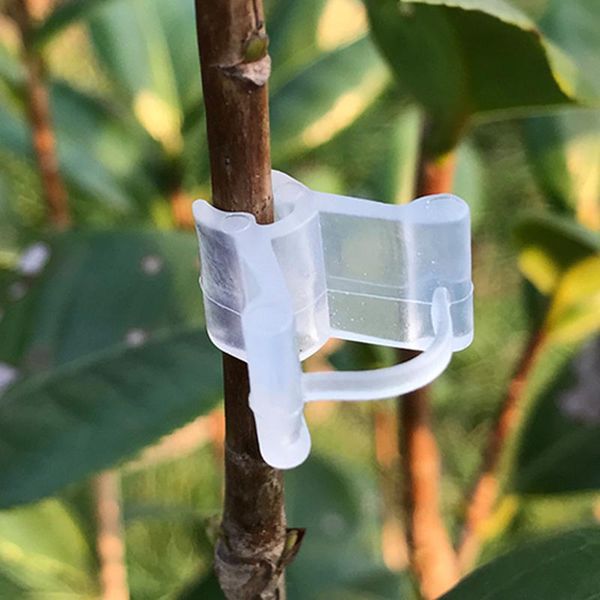 hooks & rails plastic garden plant support clips for tomato hanging trellis vine connects plants greenhouse vegetables ornament #t1p
hooks & rails plastic garden plant support clips for tomato hanging trellis vine connects plants greenhouse vegetables ornament #t1p