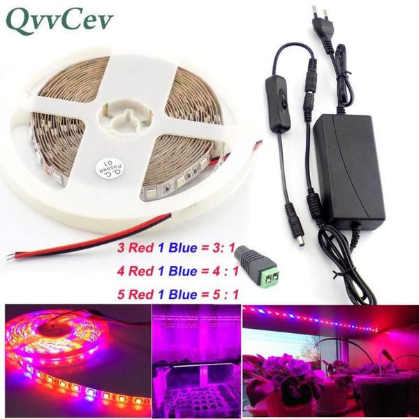 grow lights qvvcev led plant strip light lamp waterproof 2m 3m 5m dc 12v 2a/3a power adapter for flower indoor greenhouse aquarium t1
grow lights qvvcev led plant strip light lamp waterproof 2m 3m 5m dc 12v 2a/3a power adapter for flower indoor greenhouse aquarium t1