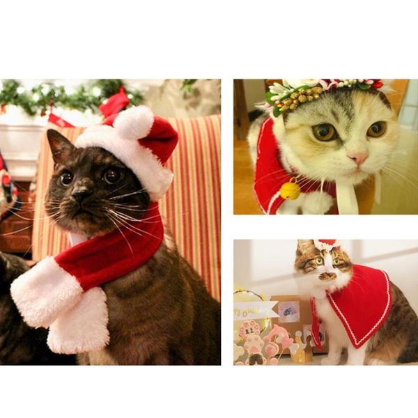 cat costumes pet dog clothes costume halloween hat scarf suit cloak dress up year christmas mascotas 2021
cat costumes pet dog clothes costume halloween hat scarf suit cloak dress up year christmas mascotas 2021