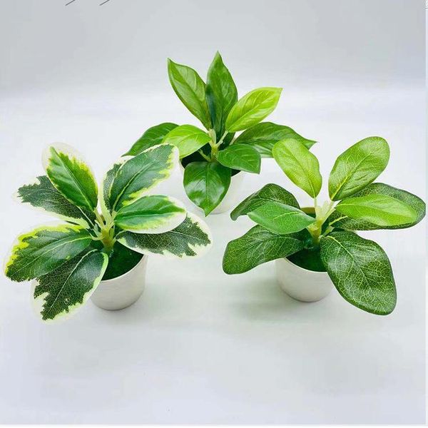 decorative flowers & wreaths artificial green plants, dill potted plants 13cm, living room dining table, office desksmall bonsai, home g
decorative flowers & wreaths artificial green plants, dill potted plants 13cm, living room dining table, office desksmall bonsai, home g