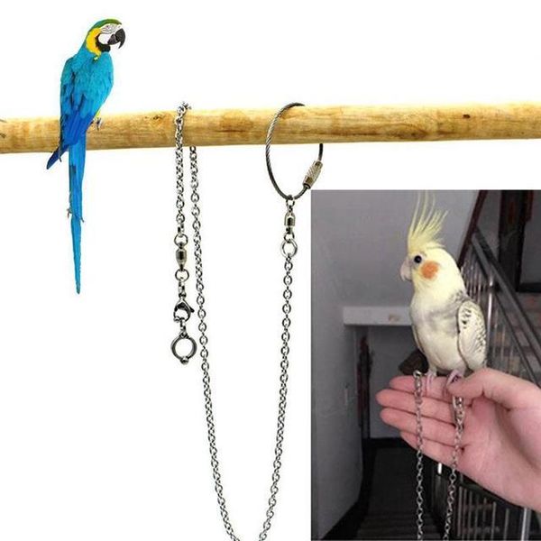 other bird supplies parrot foot chain stainless steel parakeet ankle ring stand outdoor cockatiel flying training
other bird supplies parrot foot chain stainless steel parakeet ankle ring stand outdoor cockatiel flying training