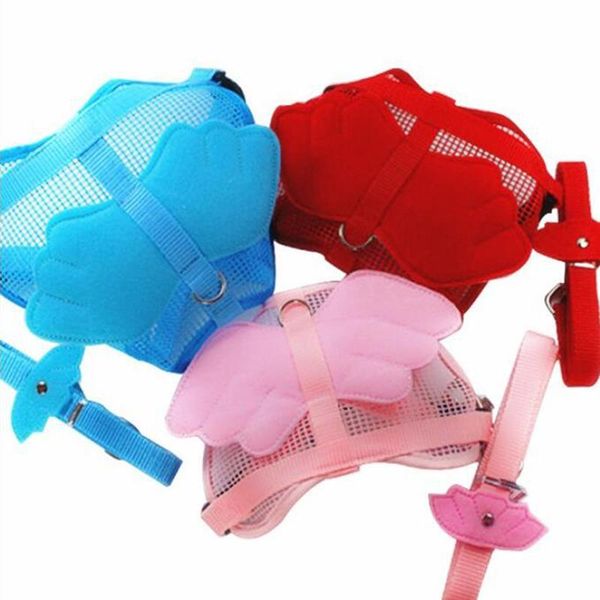 dog collars & leashes pet with angel and set small cats puppy leads wing straps adjustable harness accessories
dog collars & leashes pet with angel and set small cats puppy leads wing straps adjustable harness accessories