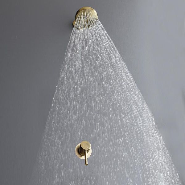 concealed wall type stainless steel shower head all copper wire drawing gold flower head shower la2004
concealed wall type stainless steel shower head all copper wire drawing gold flower head shower la2004