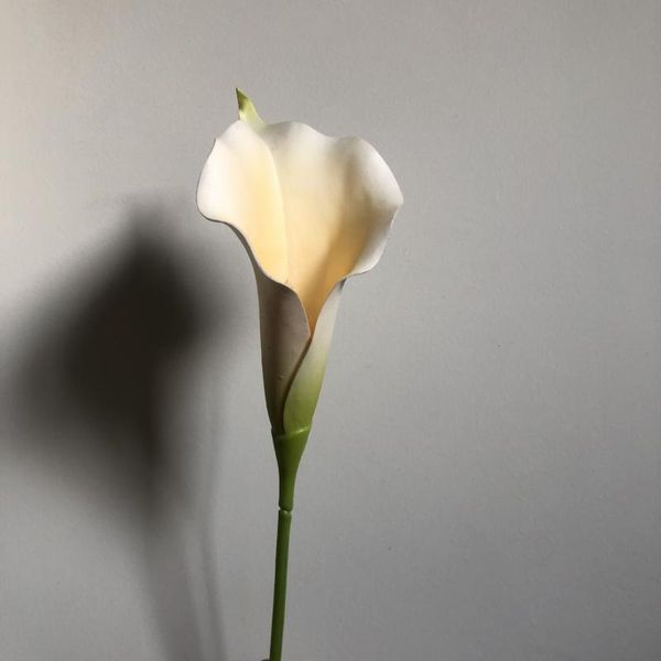 decorative flowers & wreaths 10 pcs 65cm long branch artificial calla lily for home living room decoration fake wedding road leads bouquet
decorative flowers & wreaths 10 pcs 65cm long branch artificial calla lily for home living room decoration fake wedding road leads bouquet