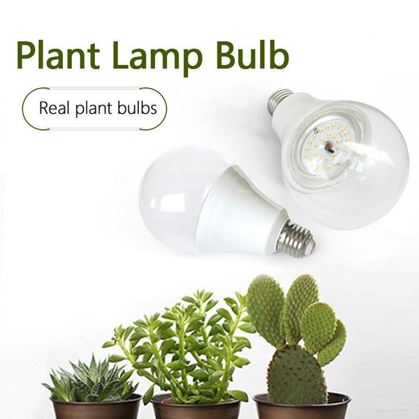 led grow light e27 15w full spectrum led plant growing bulb for indoor hydroponics flowers plants vegetable growth lamp
led grow light e27 15w full spectrum led plant growing bulb for indoor hydroponics flowers plants vegetable growth lamp