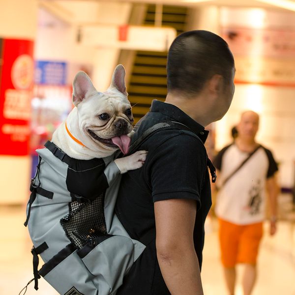 2021 new doggy big, gold, bulldog adjustable backpack, big travel bag, pet products acni
2021 new doggy big, gold, bulldog adjustable backpack, big travel bag, pet products acni