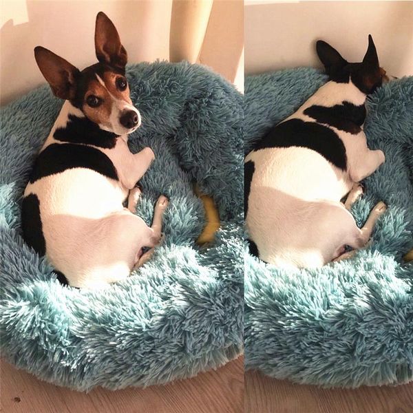 kennels & pens long plush super soft dog bed pet kennel round sleeping bag lounger cat house winter warm sofa basket for small medium large
kennels & pens long plush super soft dog bed pet kennel round sleeping bag lounger cat house winter warm sofa basket for small medium large