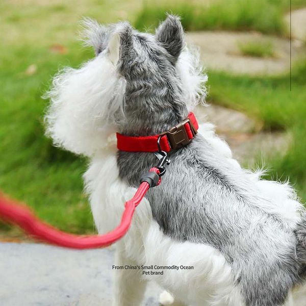 good quality nylon pet outdoor walking supplies reflective dog collar adjustable cat traction rope dog harness leash tag
good quality nylon pet outdoor walking supplies reflective dog collar adjustable cat traction rope dog harness leash tag