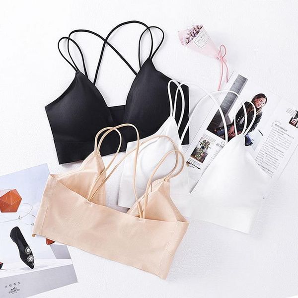 yoga outfit summer women sports bra v-neck brathable push up female gym fitness underwear seamless
yoga outfit summer women sports bra v-neck brathable push up female gym fitness underwear seamless