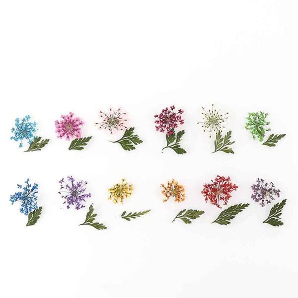 1 box real dried ammi majus flower leaf dry plants for epoxy resin pendant necklace jewelry making craft diy acc jllwad
1 box real dried ammi majus flower leaf dry plants for epoxy resin pendant necklace jewelry making craft diy acc jllwad