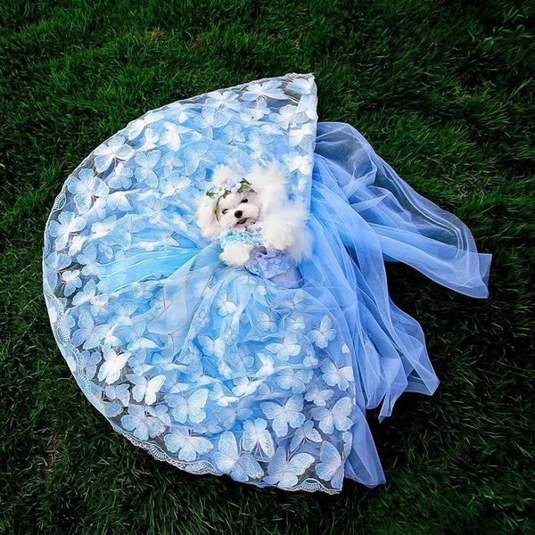 dog apparel onnpnnq pet dress long tail wedding clothes princess tutu for small medium dogs flower printed skirt chihuahua
dog apparel onnpnnq pet dress long tail wedding clothes princess tutu for small medium dogs flower printed skirt chihuahua
