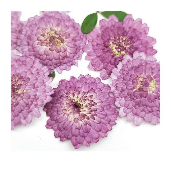 100pcs,natural pressed purple daisy flowers,real flower diy wedding invitation art craft bookmark gift card,scented cand qyloxh
100pcs,natural pressed purple daisy flowers,real flower diy wedding invitation art craft bookmark gift card,scented cand qyloxh