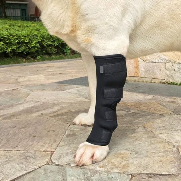 dog apparel dogs help heal wounds and injury rear puppy injured leg protector legguards bandages protect pad compression joint wrap
dog apparel dogs help heal wounds and injury rear puppy injured leg protector legguards bandages protect pad compression joint wrap