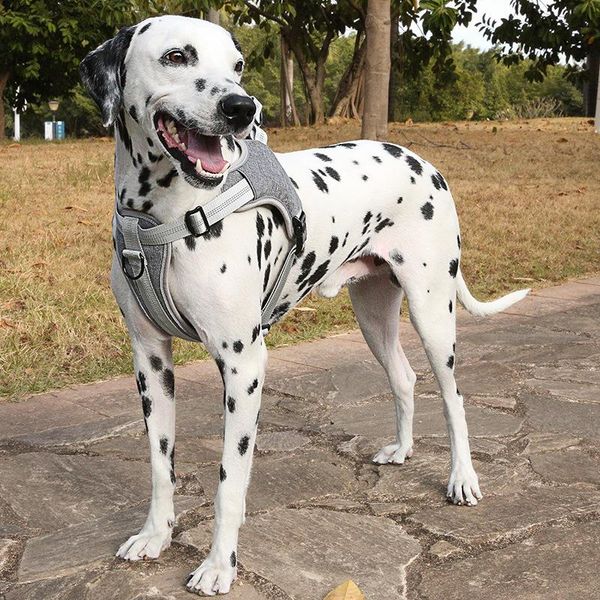reflective pet dog harness vest soft breathable adjustable pet harnesses dog harness for small medium large dogs supplies 2021
reflective pet dog harness vest soft breathable adjustable pet harnesses dog harness for small medium large dogs supplies 2021