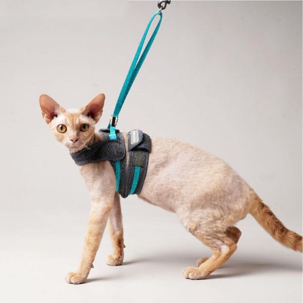 cat collars & leads anti-break harness lightweight soft and comfortable breathable mesh lead outing supplies accessories
cat collars & leads anti-break harness lightweight soft and comfortable breathable mesh lead outing supplies accessories