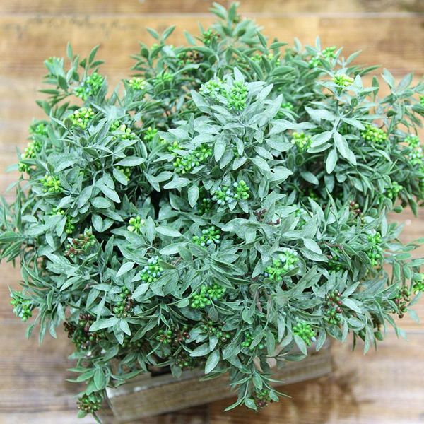 decorative flowers & wreaths 5 fork artificial seeds eucalyptus leaves with fruit simulation plant wedding holiday home party decoration flo
decorative flowers & wreaths 5 fork artificial seeds eucalyptus leaves with fruit simulation plant wedding holiday home party decoration flo