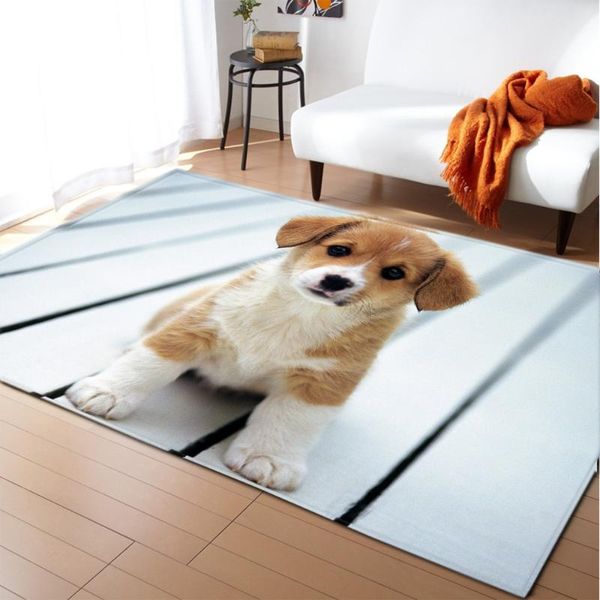 carpets nordic style cute dog 3d animal carpet flannel anti-slip parlor area rug kids bedroom decor play mat for living room
carpets nordic style cute dog 3d animal carpet flannel anti-slip parlor area rug kids bedroom decor play mat for living room